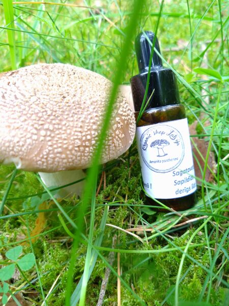 Amanita Pantherina Tinktūra 15ml